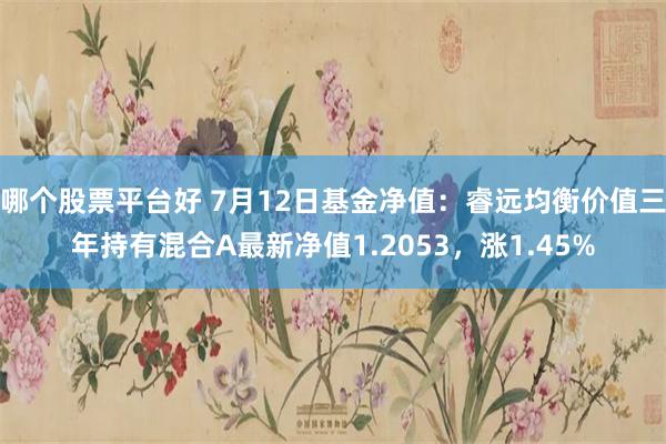 哪个股票平台好 7月12日基金净值：睿远均衡价值三年持有混合A最新净值1.2053，涨1.45%