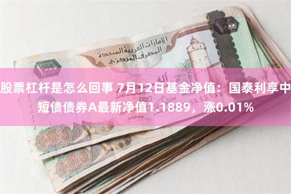 股票杠杆是怎么回事 7月12日基金净值：国泰利享中短债债券A最新净值1.1889，涨0.01%