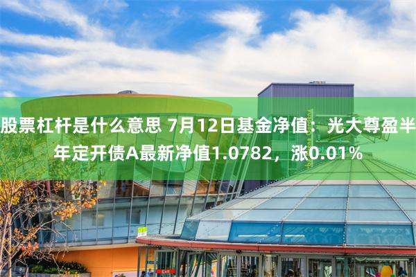 股票杠杆是什么意思 7月12日基金净值：光大尊盈半年定开债A最新净值1.0782，涨0.01%