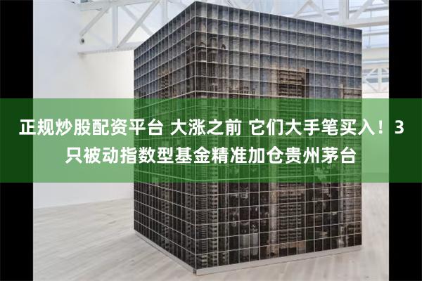 正规炒股配资平台 大涨之前 它们大手笔买入！3只被动指数型基金精准加仓贵州茅台