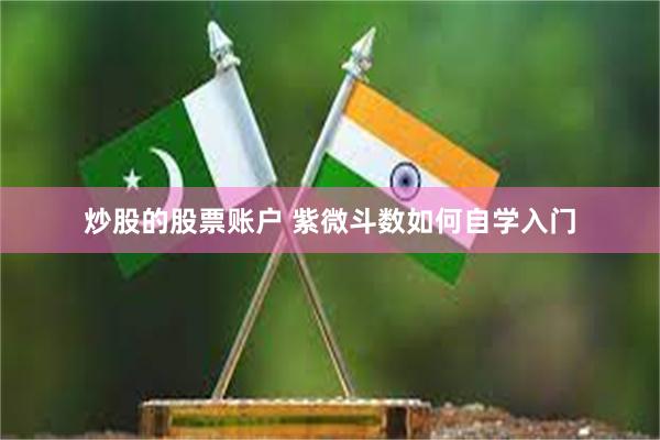 炒股的股票账户 紫微斗数如何自学入门