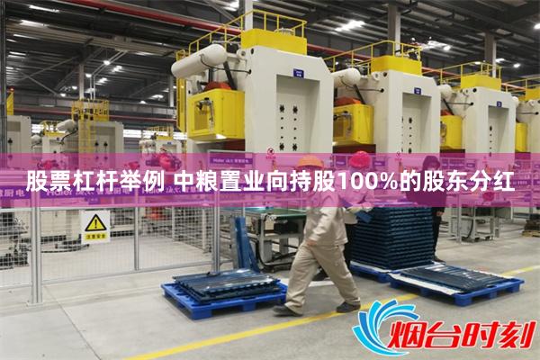 股票杠杆举例 中粮置业向持股100%的股东分红