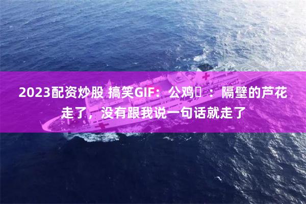2023配资炒股 搞笑GIF：公鸡​：隔壁的芦花走了，没有跟我说一句话就走了