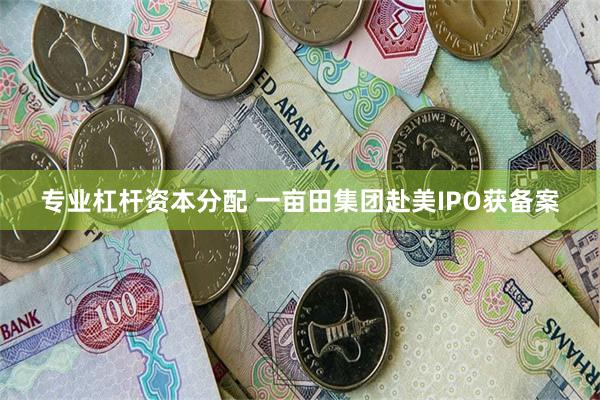 专业杠杆资本分配 一亩田集团赴美IPO获备案