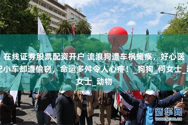 在线证券股票配资开户 流浪狗遭车祸瘫痪，好心医院配小车却遭偷窃，命运多舛令人心疼！_狗狗_何女士_动物