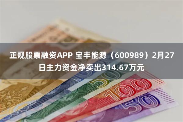 正规股票融资APP 宝丰能源（600989）2月27日主力资金净卖出314.67万元