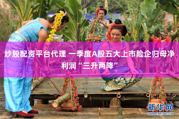 炒股配资平台代理 一季度A股五大上市险企归母净利润“三升两降”