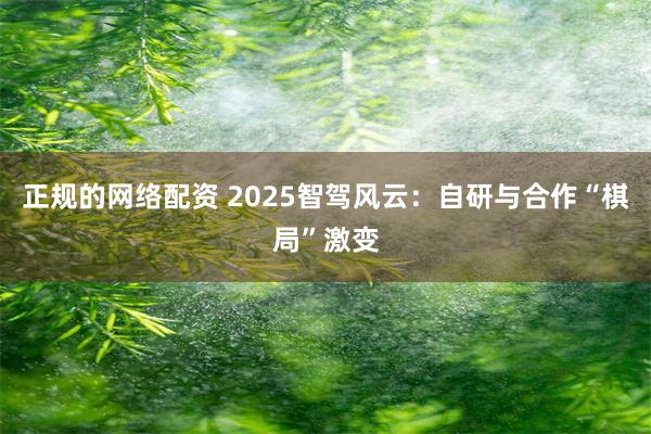 正规的网络配资 2025智驾风云：自研与合作“棋局”激变