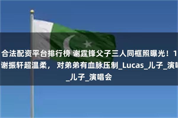 合法配资平台排行榜 谢霆锋父子三人同框照曝光！18岁谢振轩超温柔， 对弟弟有血脉压制_Lucas_儿子_演唱会