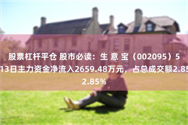 股票杠杆平仓 股市必读：生 意 宝（002095）5月13日主力资金净流入2659.48万元，占总成交额2.85%