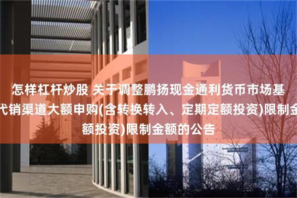 怎样杠杆炒股 关于调整鹏扬现金通利货币市场基金在部分代销渠道大额申购(含转换转入、定期定额投资)限制金额的公告