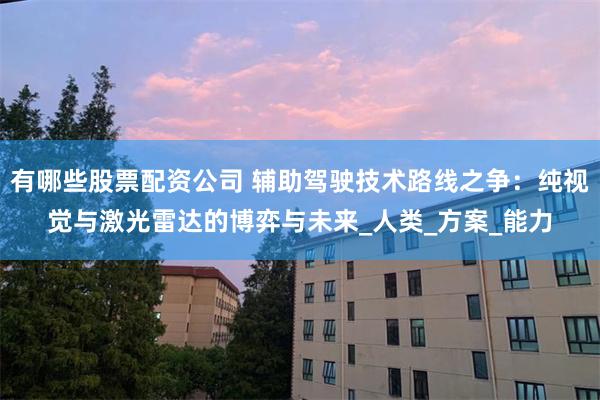 有哪些股票配资公司 辅助驾驶技术路线之争：纯视觉与激光雷达的博弈与未来_人类_方案_能力
