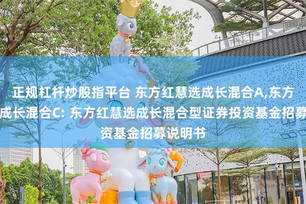 正规杠杆炒股指平台 东方红慧选成长混合A,东方红慧选成长混合C: 东方红慧选成长混合型证券投资基金招募说明书