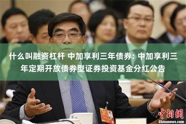 什么叫融资杠杆 中加享利三年债券: 中加享利三年定期开放债券型证券投资基金分红公告