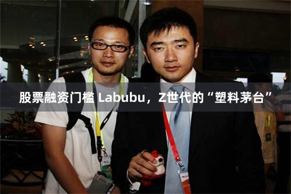 股票融资门槛 Labubu，Z世代的“塑料茅台”