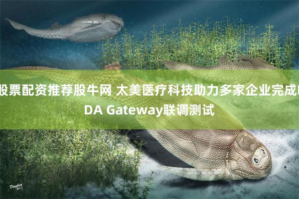 股票配资推荐股牛网 太美医疗科技助力多家企业完成FDA Gateway联调测试
