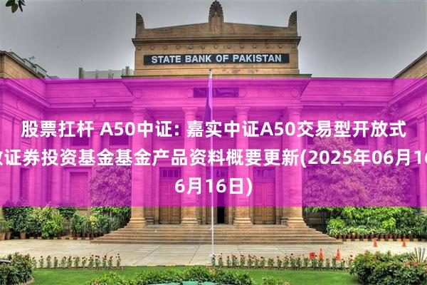 股票扛杆 A50中证: 嘉实中证A50交易型开放式指数证券投资基金基金产品资料概要更新(2025年06月16日)
