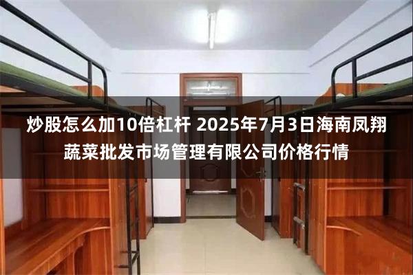 炒股怎么加10倍杠杆 2025年7月3日海南凤翔蔬菜批发市场管理有限公司价格行情