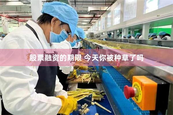 股票融资的期限 今天你被种草了吗
