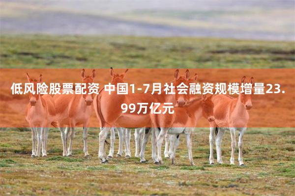 低风险股票配资 中国1-7月社会融资规模增量23.99万亿元