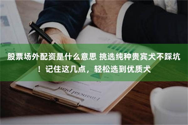 股票场外配资是什么意思 挑选纯种贵宾犬不踩坑！记住这几点，轻松选到优质犬